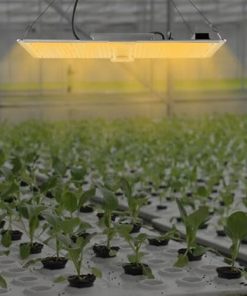 LED Grow Light, 220W Plant Growing Lamp LM301B LED Lamp Sunlike Full Spectrum for Indoor Plants Horticulture Aluminum Plate Grow Adjustable Rope Hanger 3×5/2x4ft Grow Tent 2