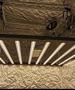 600W LED Grow Lights