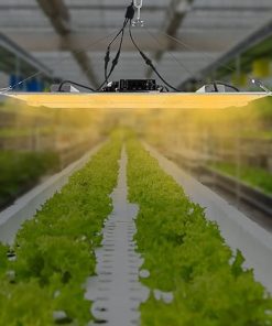 DYNAMI LED Grow Light,Dimmable Full Spectrum Growth Light,Indoor Grow Lamp for Plants,Seedling Veg and Bloom Grow Lamp for Grow Tent,w/Hanging Kit (660W) 2