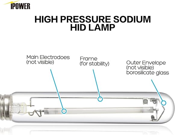 iPower 600W HPS Grow Light Bulb Lamp for Plants Growth, Pressure Sodium Bulb Lamp with High PAR Enhanced Red and Orange Spectrums, CCT 2100K, 2 Pack 2 iPower 600W HPS Grow Light Bulb Lamp for Plants Growth, Pressure Sodium Bulb Lamp with High PAR Enhanced Red and Orange Spectrums, CCT 2100K, 2 Pack - Image 2