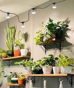 SANSI Outdoor LED Grow Lights,IP65 Waterproof String Grow Light,72W Upgraded Optical Lens Full Spectrum Greenhouse Grow Lights with 22ft Cord for Veg Seedling Flower(6 Lights) 2