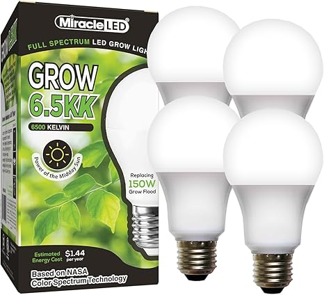 Miracle LED 6.5KK Professional Indoor Grow Light Bulb – 6500K Full Spectrum Replace 150W Grow Bulbs for Vegetables, Herbs, Hydroponics. (4-Pack) Miracle LED 6.5KK Professional Indoor Grow Light Bulb – 6500K Full Spectrum Replace 150W Grow Bulbs for Vegetables, Herbs, Hydroponics. (4-Pack)
