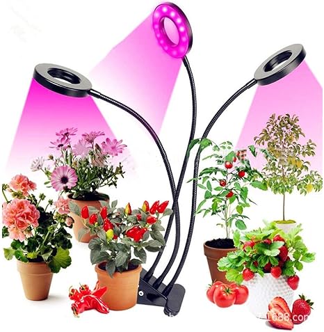 Plant Growth lamp Three-led led Plant lamp USB gooseneck lamp Indoor Bonsai Succulent Flower 5V Clip Fill Light LED Grow Light Full Spectrum Flexible Timing Dimmable Clip Phyto 2 Plant Growth lamp Three-led led Plant lamp USB gooseneck lamp Indoor Bonsai Succulent Flower 5V Clip Fill Light LED Grow Light Full Spectrum Flexible Timing Dimmable Clip Phyto - Image 2