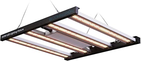 BLOOMINGREEN LED Grow Light for Indoor Plants Full Spectrum, 240W Plant Growing Light with Samsung Diodes, Plant Grow Lamp for Greenhouse Veg Seed, 4-Level Brightness Dimmable, Coverage 2X2/3X3FT BLOOMINGREEN LED Grow Light for Indoor Plants Full Spectrum, 240W Plant Growing Light with Samsung Diodes, Plant Grow Lamp for Greenhouse Veg Seed, 4-Level Brightness Dimmable, Coverage 2X2/3X3FT