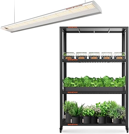 Spider Farmer SF600 LED Grow Light and Plant Stand 3 Tier Metal Plant Shelf with Wheels for Indoor Plants Multiple 3 Plant Trays Spider Farmer SF600 LED Grow Light and Plant Stand 3 Tier Metal Plant Shelf with Wheels for Indoor Plants Multiple 3 Plant Trays