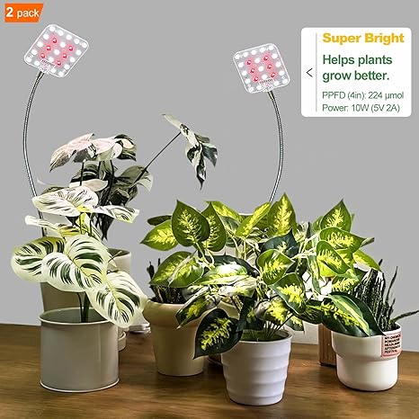 DOMMIA Grow Light, Waterproof Grow Lights for Indoor Plants, Optical Lens Plant Lights for Indoor Growing, Full Spectrum LED Grow Light with Gooseneck Stand (14-in Tall, 2 Stands 1 Plug, 4 Stands) 2 DOMMIA Grow Light, Waterproof Grow Lights for Indoor Plants, Optical Lens Plant Lights for Indoor Growing, Full Spectrum LED Grow Light with Gooseneck Stand (14-in Tall, 2 Stands 1 Plug, 4 Stands) - Image 2
