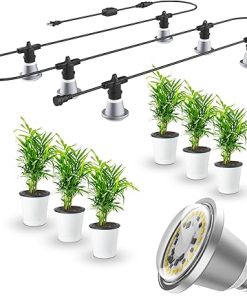 SANSI 10W LED Grow Light 3 Pack + Hanging Grow Light String for Indoor Outdoor, 6 Led Grow Light Bulbs, IP65 Waterproof Plant Grow Lamp for Greenhouse Garden 2