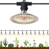 LED Grow Light Full Spectrum, 3.28ft 30W Grow Light Standing Plant Grow Lamp for Indoor Plants Seed Starting & Hydroponic Growing, 39in-58in Adjustable with Heavy Metals Stand 3 LED Grow Light Full Spectrum, 3.28ft 30W Grow Light Standing Plant Grow Lamp for Indoor Plants Seed Starting & Hydroponic Growing, 39in-58in Adjustable with Heavy Metals Stand 3