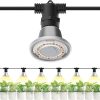 VIPARSPECTRA P2000 LED Grow Lights for Seed Starting Dimming Daisy Chain Grow Lights for Indoor Plants Full Spectrum Plus 1/4″ Adjustable Rope Hangers [2 Pack, 12FT, 150 lbs/Pack] Ratchet Straps 3
