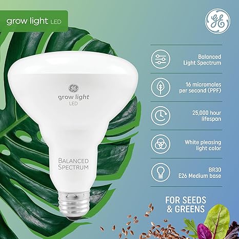GE Grow Lights for Indoor Plants, BR30 Indoor Floodlight, LED Light Bulbs for Seeds and Greens, Balanced Light Spectrum, 25,000 Hours Lifespan, 16 PPF, 4 Pack (Packaging May Vary) 2 GE Grow Lights for Indoor Plants, BR30 Indoor Floodlight, LED Light Bulbs for Seeds and Greens, Balanced Light Spectrum, 25,000 Hours Lifespan, 16 PPF, 4 Pack (Packaging May Vary) - Image 2