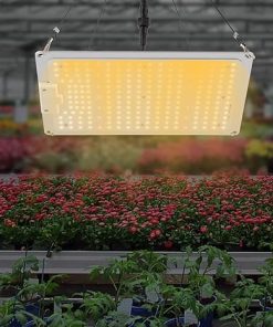 DYNAMI LED Grow Light,Dimmable Full Spectrum Growth Light,Indoor Grow Lamp for Plants,Seedling Veg and Bloom Grow Lamp for Grow Tent,w/Hanging Kit (110W) 2