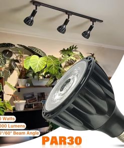 PAR30 LED Bulb 30 Watt COB Grow Lights (250 Watt Eqv.) Full Spectrum Plant Light with Plug-in Hanging Cord Kit Grow Lamp Bulb(6 PCS) 2