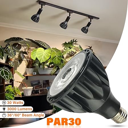 RYTM 6-Pack PAR30 LED Bulb 30 Watt COB Grow Lights (250 Watt Eqv.) Full Spectrum Plant Light with Plug-in Hanging Cord Kit Grow Lamp Bulb for Indoor Plants Flowers Greenhouse Seed Starting 2 RYTM 6-Pack PAR30 LED Bulb 30 Watt COB Grow Lights (250 Watt Eqv.) Full Spectrum Plant Light with Plug-in Hanging Cord Kit Grow Lamp Bulb for Indoor Plants Flowers Greenhouse Seed Starting - Image 2