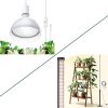 Grow Light Grow Lights for Indoor Plants Full Spectrum Growing Light Plant Hanging Growing Lamps with Samsung Daisy Chain Dimmable Board 4x4ft Coverage (320Watts) 4 Grow Light Grow Lights for Indoor Plants Full Spectrum Growing Light Plant Hanging Growing Lamps with Samsung Daisy Chain Dimmable Board 4x4ft Coverage (320Watts) 4