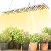 Miracle LED Greenhouse in a Box Designer Line Indoor Grow Kit – 4 Absolute Daylight Red & Blue Spectrum 100W Replacement Grow Bulbs, 1 4-Socket Braided Plug-in Fixture with Timer (8-Pack) 4