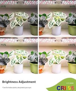 Grow Light, LED Grow Lights for Indoor Plants Full Spectrum, Timer Plant Light, Indoor Plant Growing Lamp for Seedlings, Veg, Flowers 2