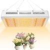 High Output T5HO 54W 6400K Full Spectrum Strip Grow Light, White, 48″ – Made for Indoor Gardening or Greenhouses, Ideal for Seed Starting 3