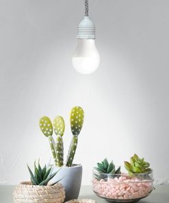 Miracle LED Greenhouse in a Box Designer Line Indoor Grow Kit – Includes Absolute Daylight Full Spectrum 100W Replacement Grow Bulb, 1 1-Socket Braided Plug-in Fixture with Timer (4-Pack) 2