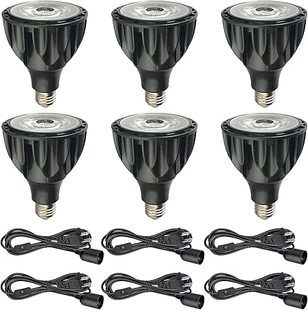 RYTM 6-Pack PAR30 LED Bulb 30 Watt COB Grow Lights (250 Watt Eqv.) Full Spectrum Plant Light with Plug-in Hanging Cord Kit Grow Lamp Bulb for Indoor Plants Flowers Greenhouse Seed Starting RYTM 6-Pack PAR30 LED Bulb 30 Watt COB Grow Lights (250 Watt Eqv.) Full Spectrum Plant Light with Plug-in Hanging Cord Kit Grow Lamp Bulb for Indoor Plants Flowers Greenhouse Seed Starting