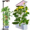 SANSI Grow Lights for Indoor Plants, LED Pot Clip Plant Light for Growing, 4000K Full Spectrum Plant Growing Lamp with 4-Level Dimmable, Auto On Off Timing 3 6 12 Hrs for Small Plants, White 5V10-Pack 3 SANSI Grow Lights for Indoor Plants, LED Pot Clip Plant Light for Growing, 4000K Full Spectrum Plant Growing Lamp with 4-Level Dimmable, Auto On Off Timing 3 6 12 Hrs for Small Plants, White 5V10-Pack 3