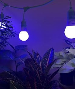 Miracle LED Smokephonics Powervine Seed to Flower Indoor Grow Light Kit – Includes 1 Blue, 2 Full, 1 Red Spectrum 150W Replacement Grow Light Bulbs & 1 2-Socket Corded Fixture (6-Pack) 2