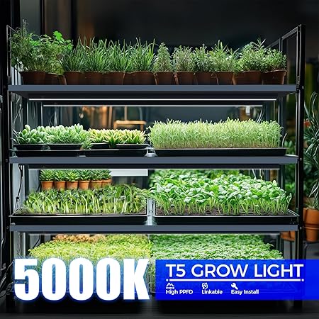 Barrina T5 Grow Lights, Plant Grow Lights Indoor,Grow Lights for Indoor Plants,Plant Lights for Indoor Growing, Plant Growing Lamps 2 Barrina T5 Grow Lights, Plant Grow Lights Indoor,Grow Lights for Indoor Plants,Plant Lights for Indoor Growing, Plant Growing Lamps - Image 2
