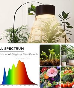Beauty Star Floor Decorative Grow Light for Indoor Plant, Full Spectrum with 18W COB Growing Light Bulb, Artificial Sunlight for Plant with 2/4/8H Timer, Tall Standing LED Grow Lamp with Weighted Base 2