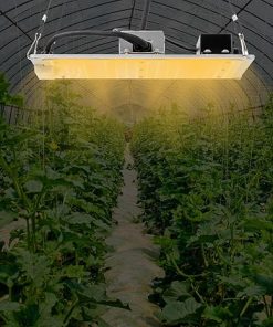 LED Grow Light, 110W Plant Growing Lamp LM301B LED Lamp Sunlike Full Spectrum for Indoor Plants Horticulture Aluminum Plate Grow Adjustable Rope Hanger 2×2/3x3ft Grow Tent 2