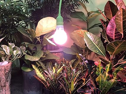 Miracle LED 4KK Professional Indoor Grow Light Bulb – 4000K Red Spectrum Replace 150W Grow Bulbs for Vegetables, Herbs, Hydroponics. (2-Pack) 2 Miracle LED 4KK Professional Indoor Grow Light Bulb – 4000K Red Spectrum Replace 150W Grow Bulbs for Vegetables, Herbs, Hydroponics. (2-Pack) - Image 2